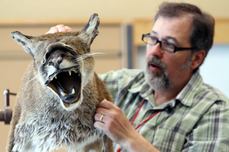 Texas Taxidermy Convention at KCC